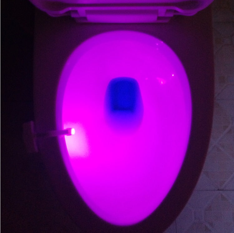 Toilet bowl lit magenta by the sensor light clipped to the rim