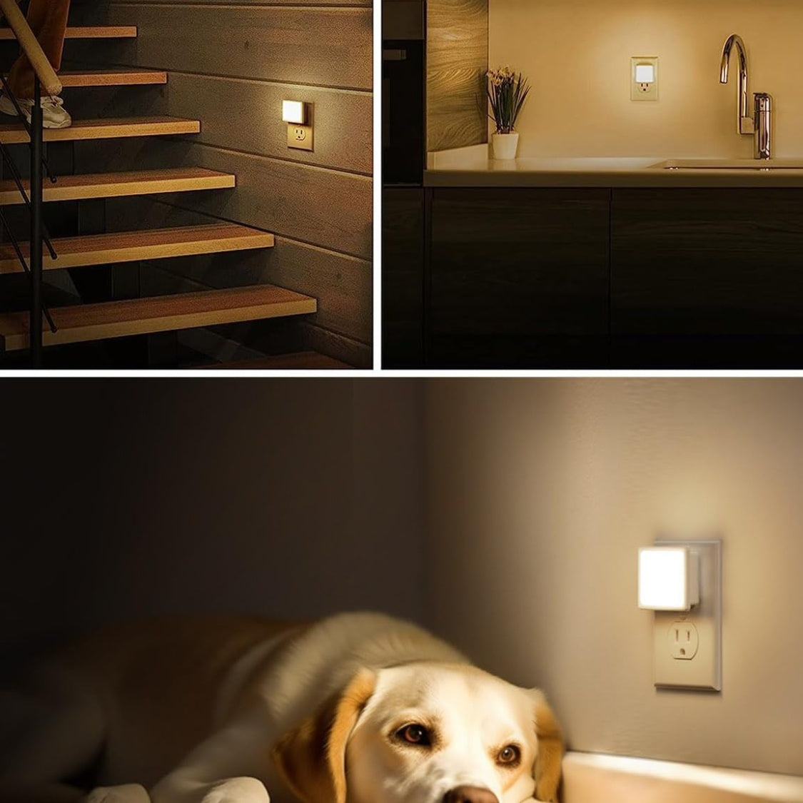 The night light in use on a staircase, in a kitchen, and on a wall beside a sleeping dog